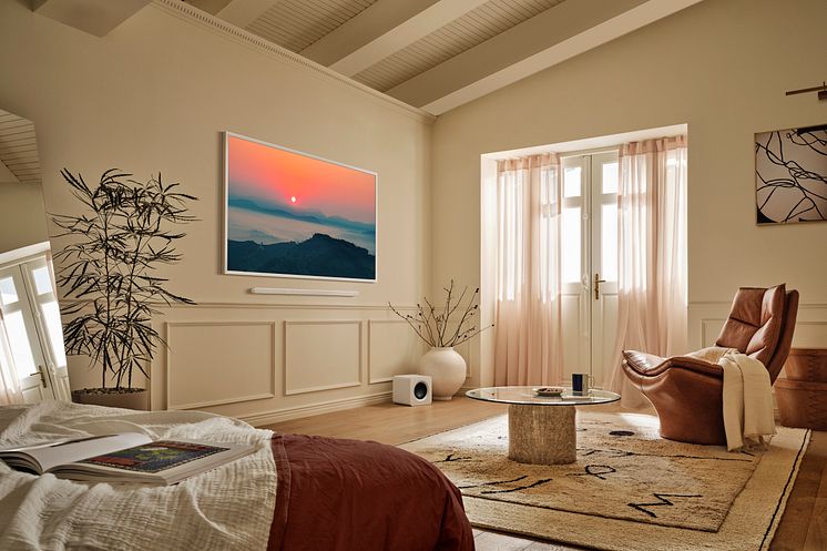 2025 The Frame Pro_LSI_04-c.jpg