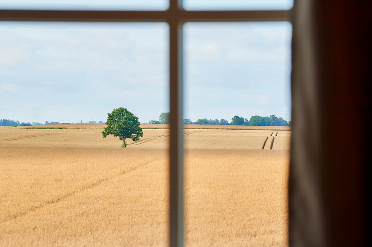 Aiden Lolland view from window.jpg