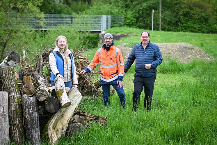 20240508_Mikrohabitat Breitenthal