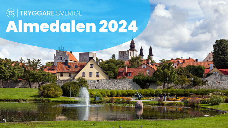 Almedalen 2024.png