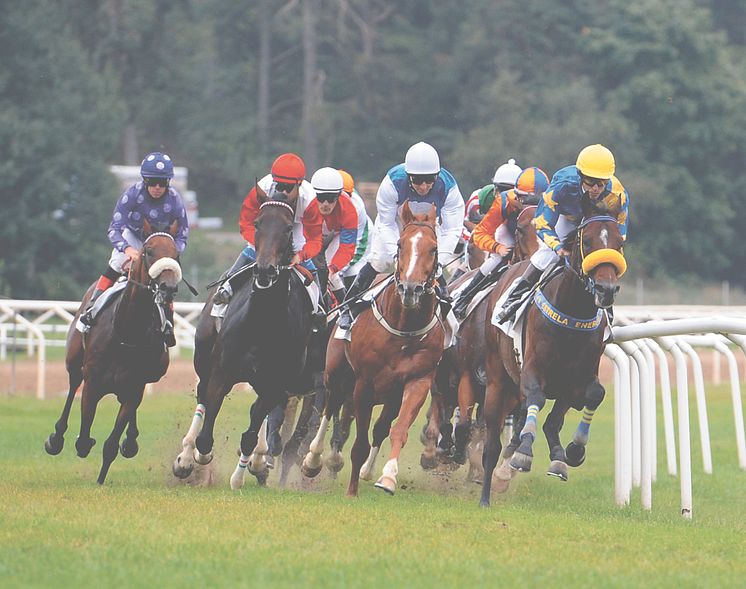 Dags för storlopp på Täby Galopp