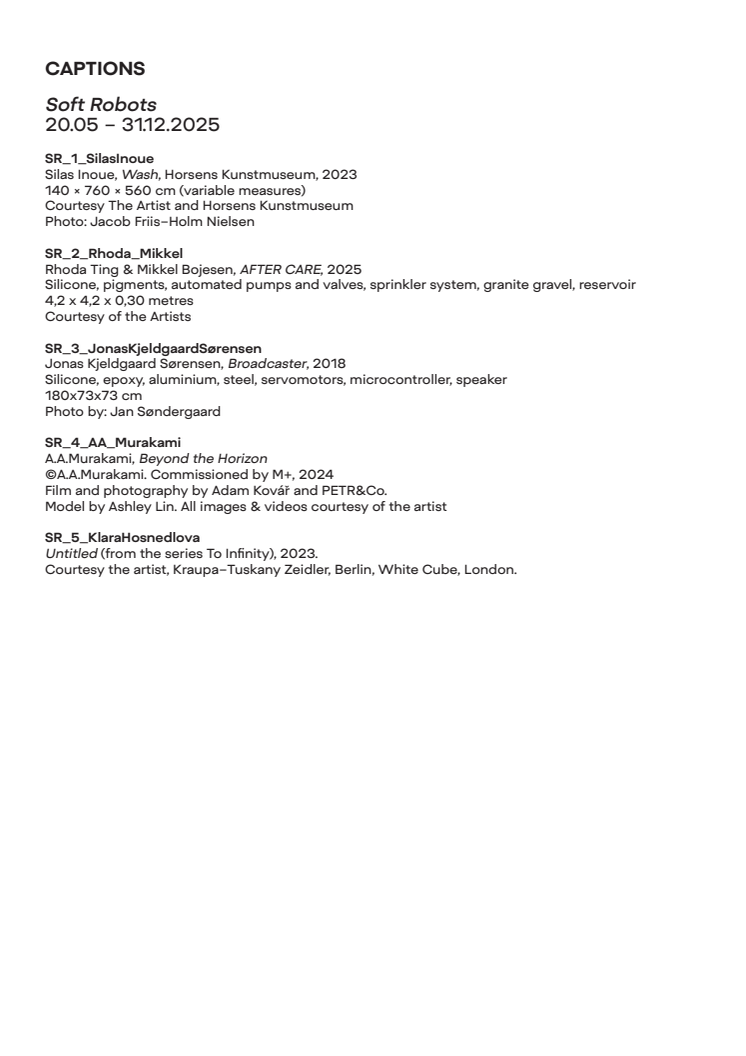 SR Captions.pdf