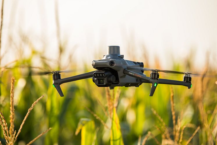 DJI_M3M 6.jpg