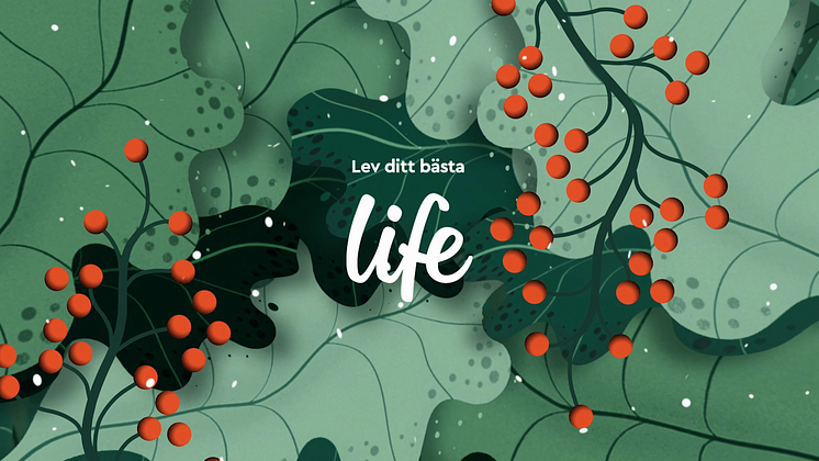 Life_SP2_Winter_16x9_Still_05.png