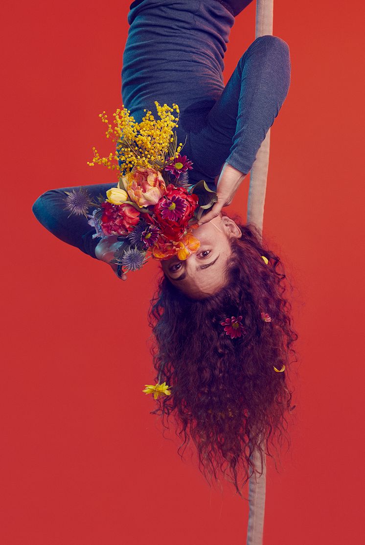 Bloom - Cirkus Cirkör