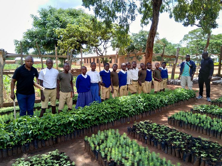 3 Tree nursery in school (1)
