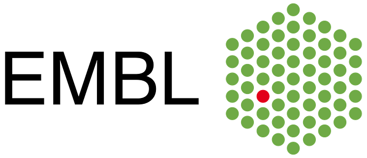 Logo European Molecular Biology Laboratory (EMBL)