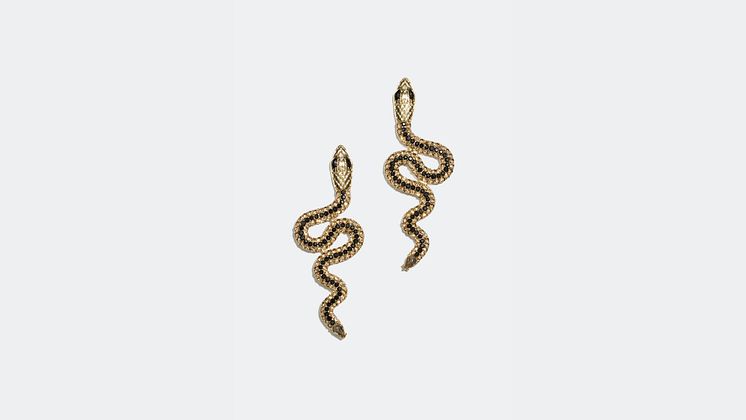 Earrings - 199 kr