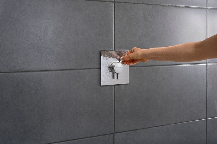 hansgrohe DuoTurn E duschblandare