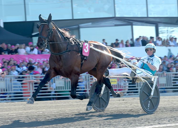 Propulsion startar i Elitloppet 31 maj. Foto: TR Bild