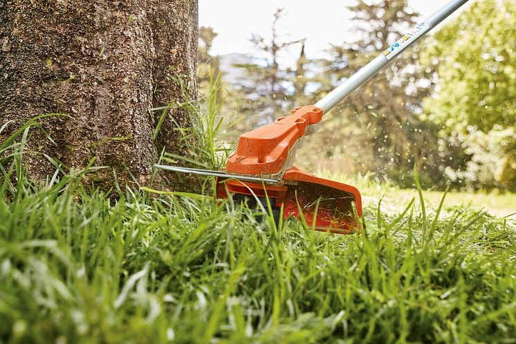 STIHL FSA 60 R med avstandsbøyle for å skåne trær.