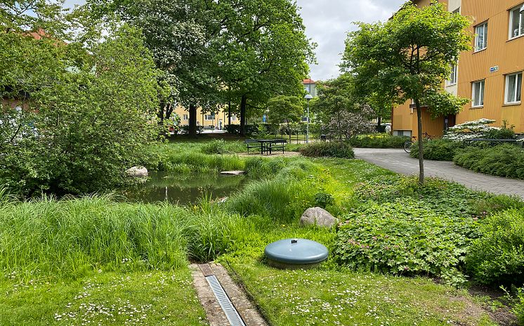 klimatanpassning Augustenborg Malmö