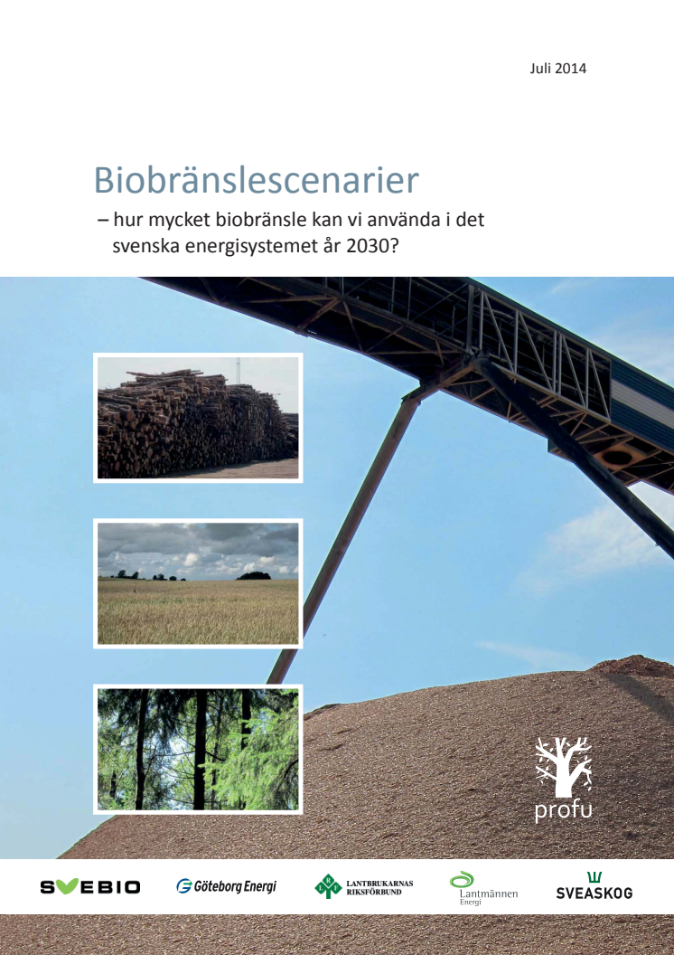 Biobränslescenarier – hur mycket biobränsle kan vi använda i det svenska energisystemet år 2030?