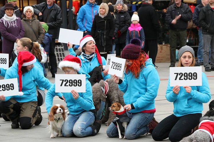 Deltagare i hundflashmob i december 2013