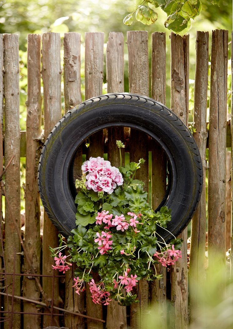 Pelargoner kreativa återbruksidéer 