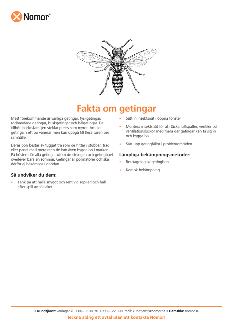 Fakta om getingar