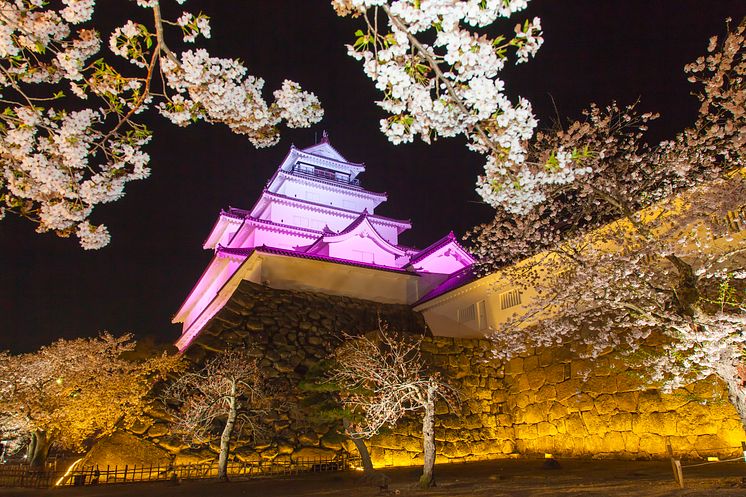 Tsurugajo Castle Park(2)