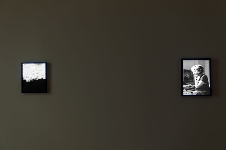 Fiona Tan. Tidens geografi. Installasjonsfoto, Nasjonalmuseet, 2015.