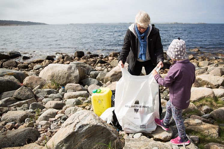 Skräpplockning längs bohuskusten