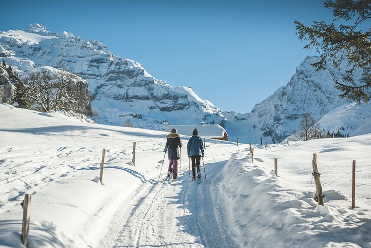 Schneeschuhwandern im Kiental (Berner Oberland) 