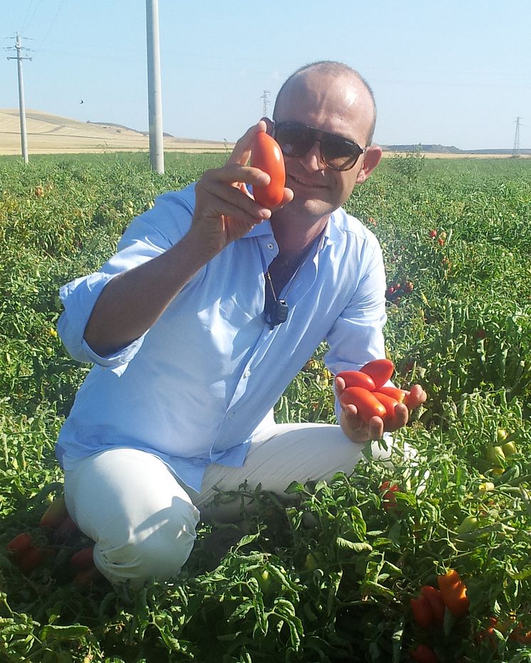 Christian Di Luca provsmakar solmogna plommontomater på ett fält i Puglien, Italien.