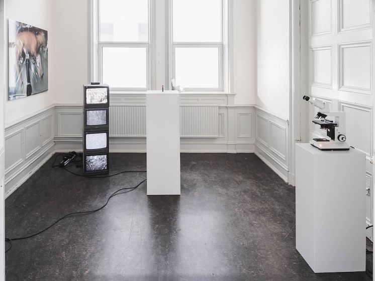 Linnéa Ndangoya Palmcrantz, installationsrum avgångsutställning Konstakademien, 2023. Foto: Jean-Baptiste Béranger