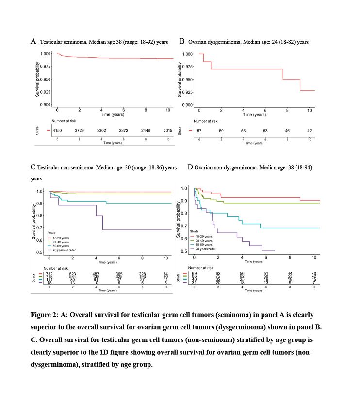 Germ cell tumours