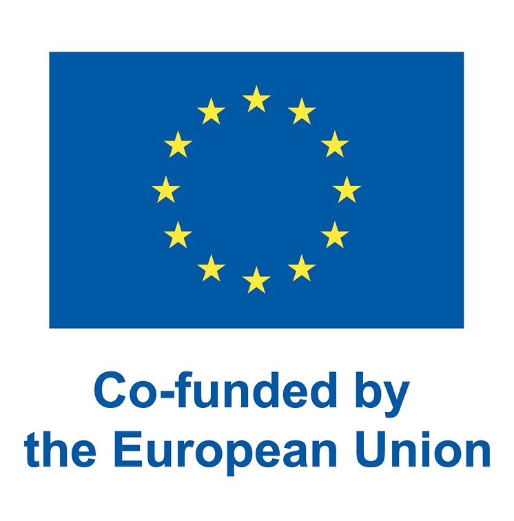 Co-funded by EU