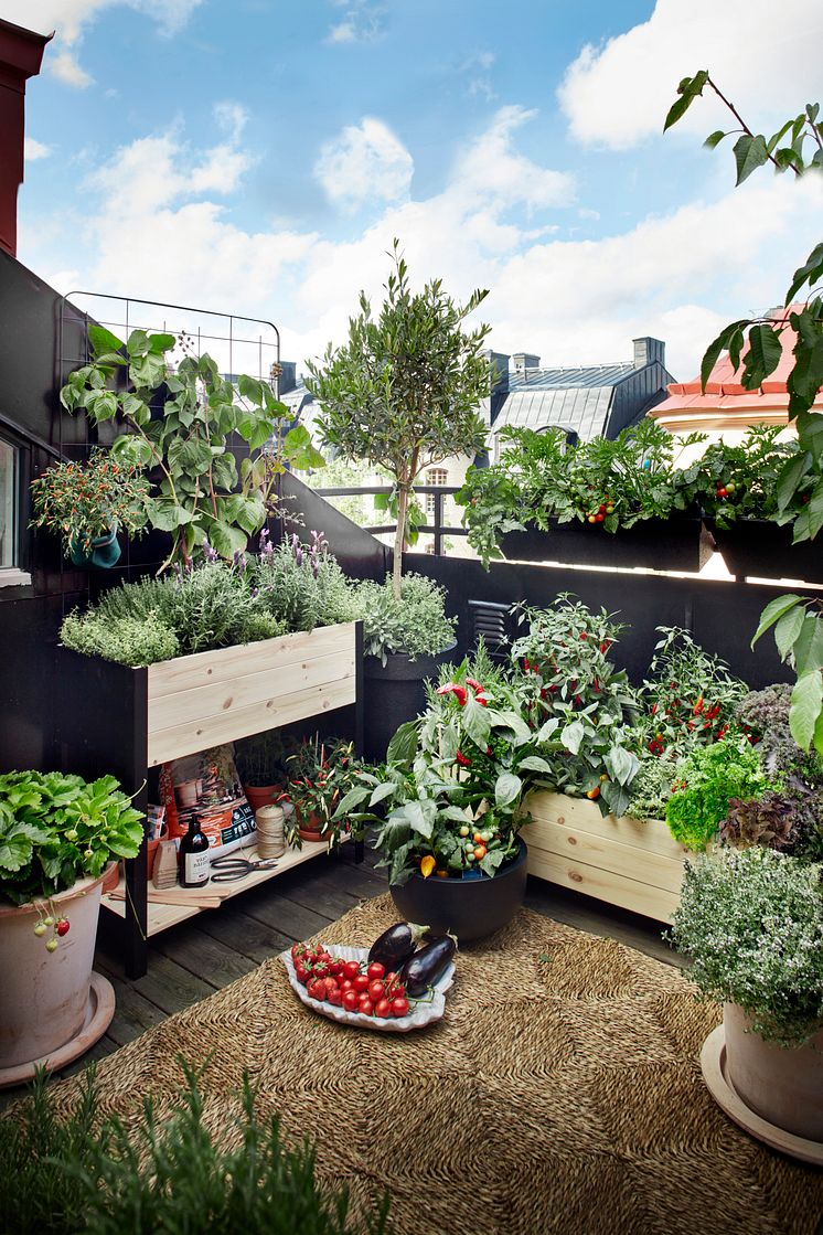 Plantagen_GYO_balcony_Cultura._retusj_DM_w14-21-.jpg