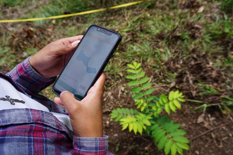 2020_TakingRoot Technician using FARM-TRACE-mobile to record a newly planted tree (1).JPG