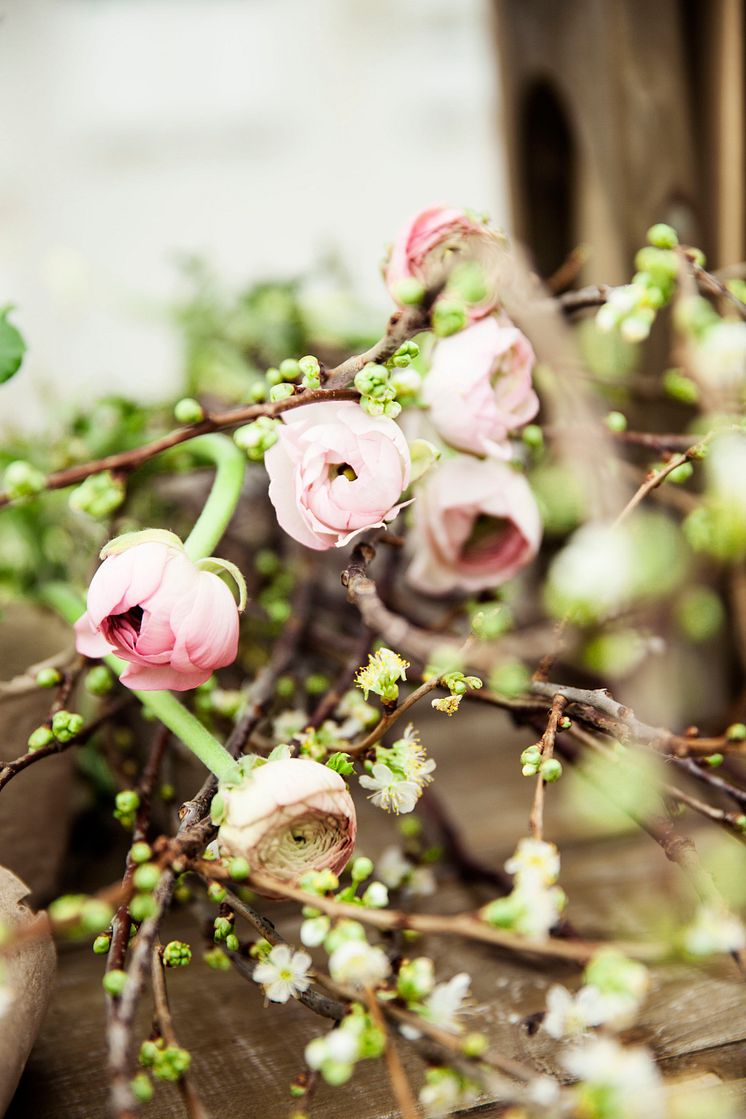 Blomsterlandet vår