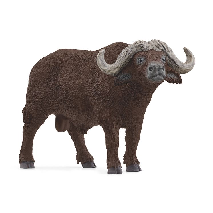 14872_Wild Life_Kaffernbüffel (c)Schleich