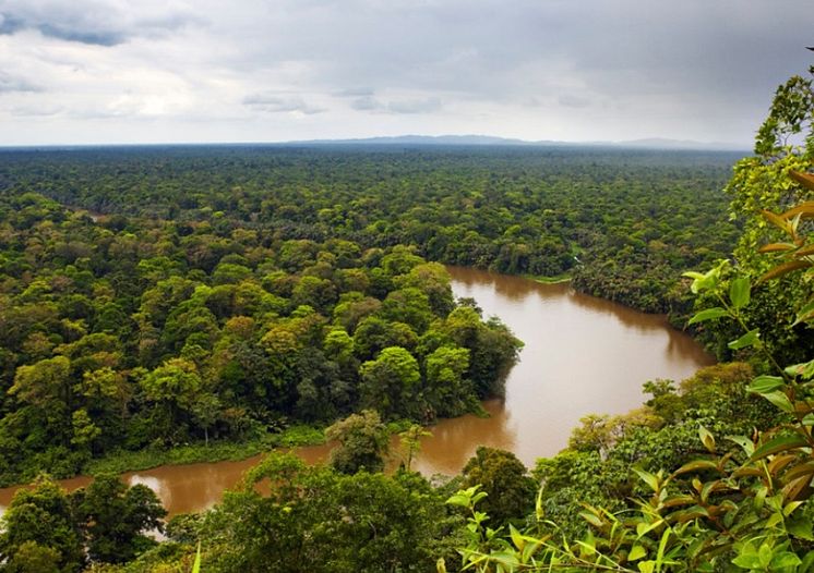 Danskernes regnskov i Costa Rica