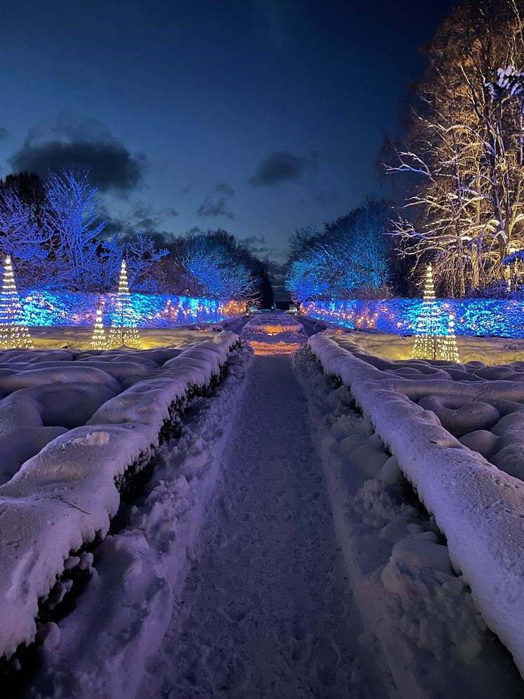 Vinter på Norrviken