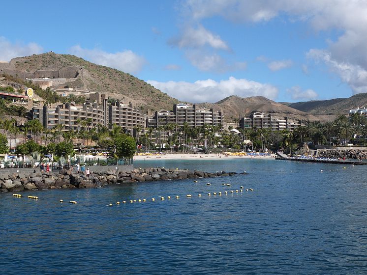Anfi_Beach.jpg