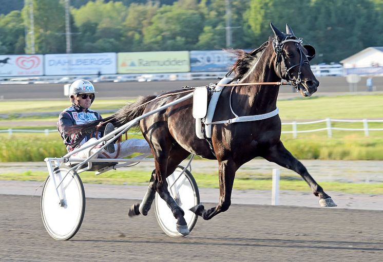 Makethemark är klar för Elitloppet 2020