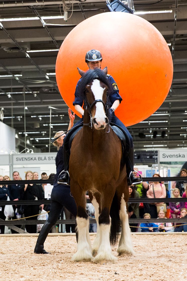 Polisrytteriet hade uppvisning på EuroHorse