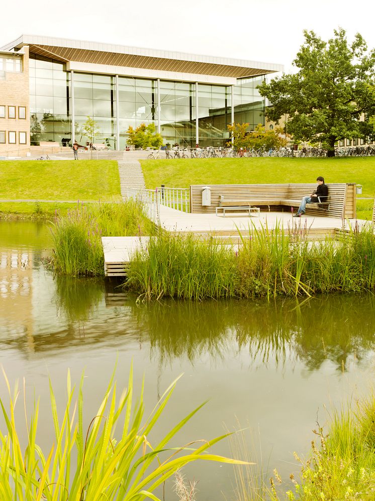 Universitetsparken, Umeå universitet