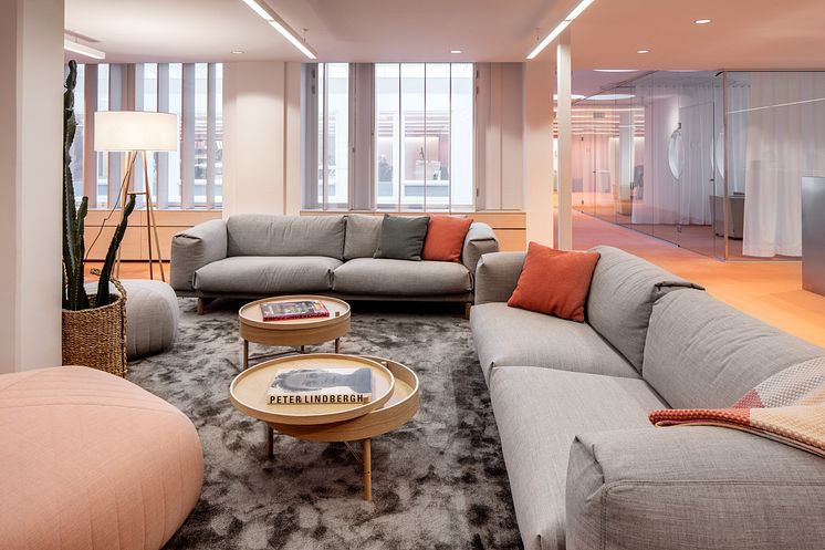 Dreem Arkitekter 