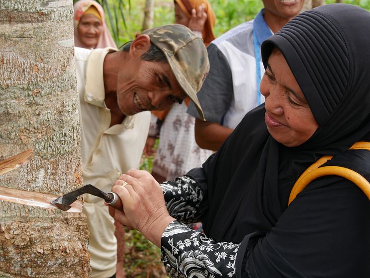 Sustainable Rubber Supply Chain2_Continental_GIZ_ThomasHeinen.JPG