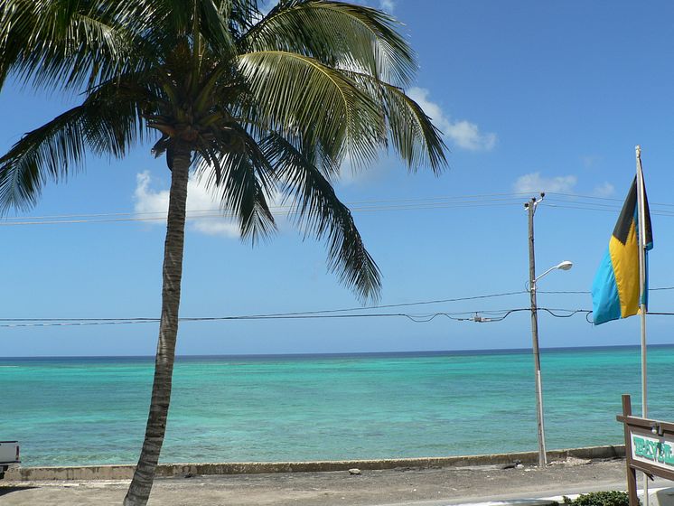 Nassau View from the Terrace. Photo: John Barlow