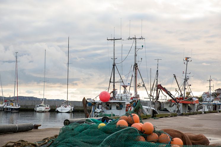 Nordiskt kunskapsnätverk mot spökfiske