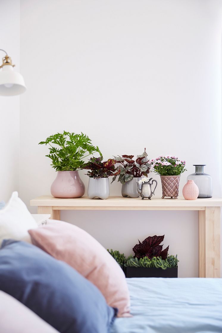 Lugnt och skönt i sovrummet med svenskodlade växter i dämpade toner.