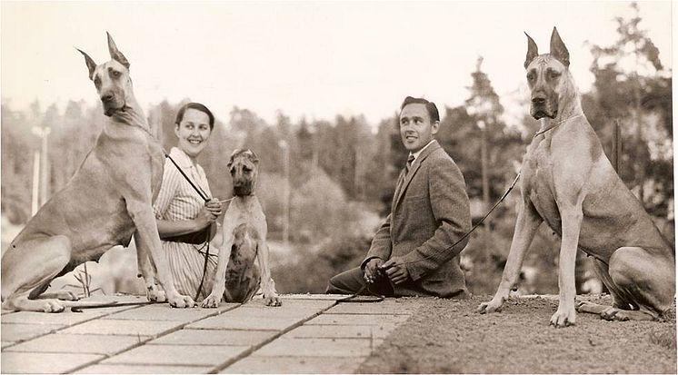 Magnussons hundmat. Farmor Ulla och Grand Danois