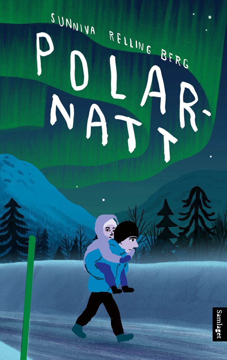 Polarnatt