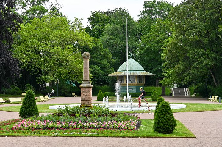 Höghjuling vid stadsparksdammen 2