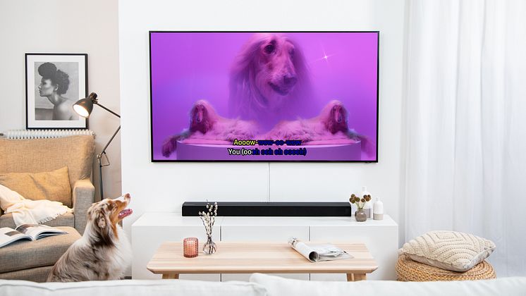 Dog Karaoke TV2