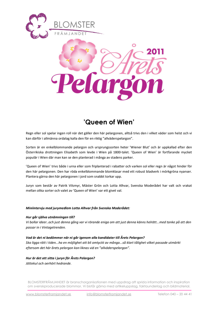 Årets pelargon 2011 - 'Queen of Wien'