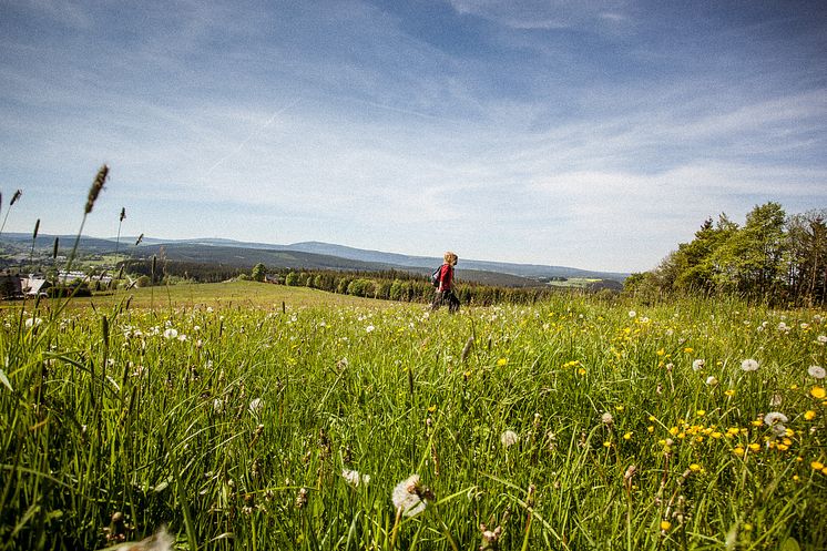 Wandern im Erzgebirge 