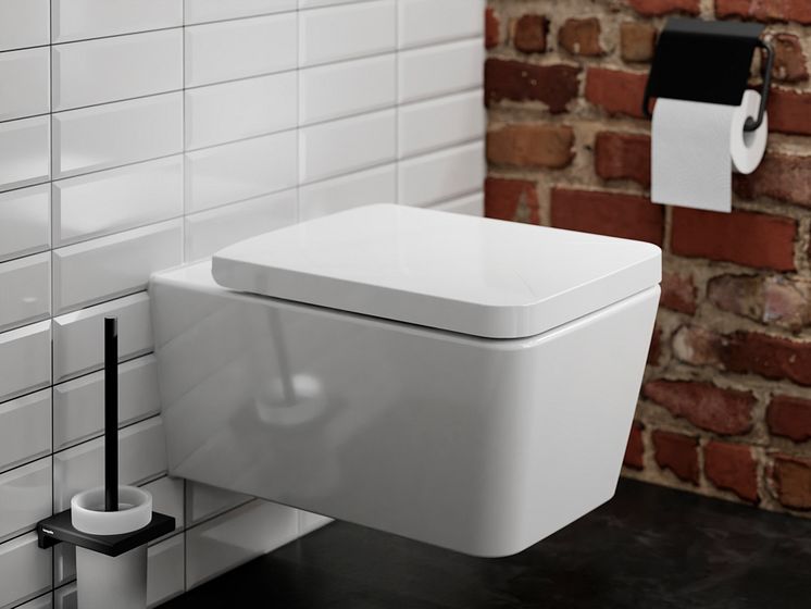 hansgrohe EluPura Q toilet